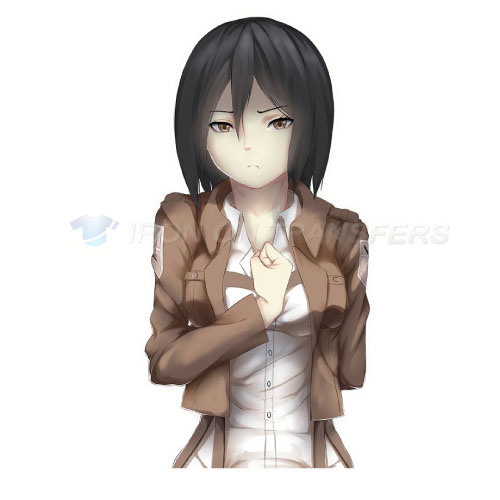 Attack on titan Iron-on Stickers (Heat Transfers)NO.510